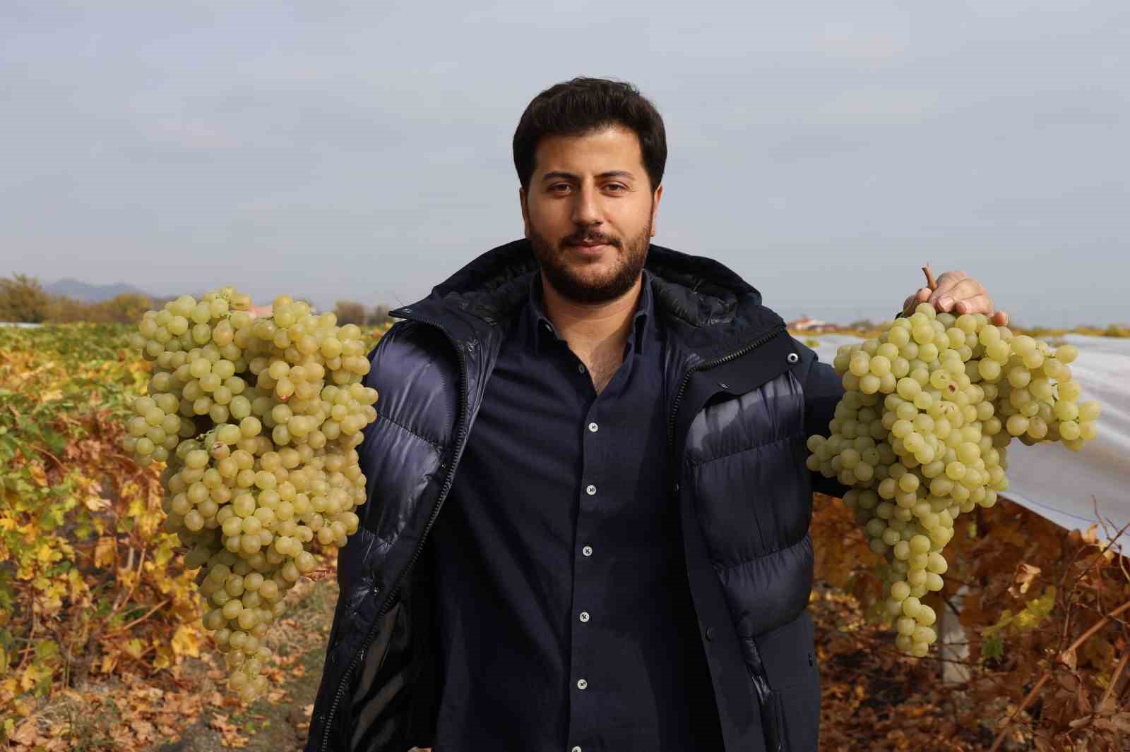 Elazığ&rsquo;da donun vurduğu &uuml;z&uuml;mde rekolte y&uuml;zde 80 d&uuml;şt&uuml;
