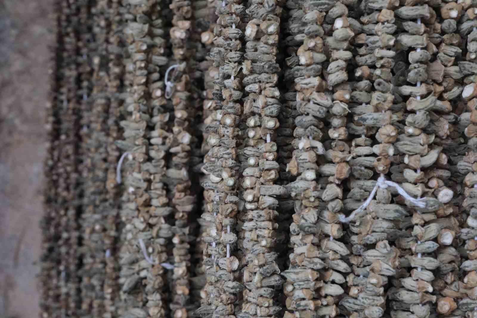 Gaziantep’te kışın vazgeçilmezi kuru bamya 2 bin TL’den tezgahta
