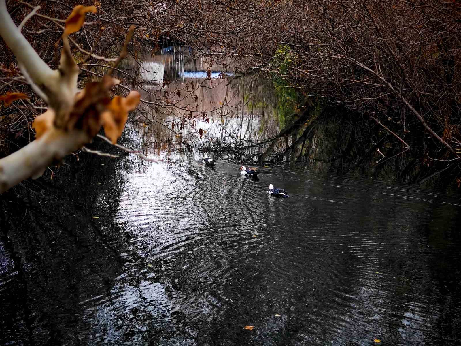 Savur, doğal güzelliğiyle ziyaretçileri mest ediyor