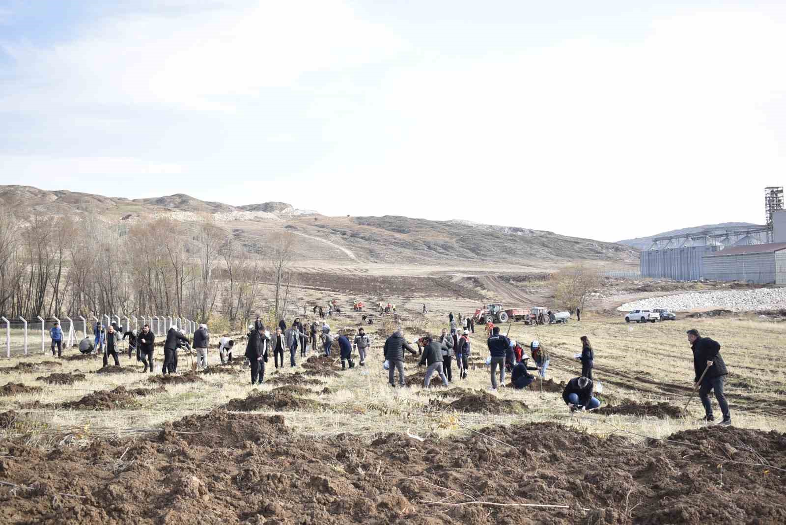 Sivas OSB’de yeşil dönüşüm binlerce fidan toprakla buluşuyor