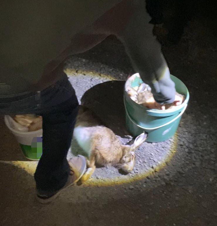 Tekirdağ’da gece avına baskın: 4 kişiye ceza