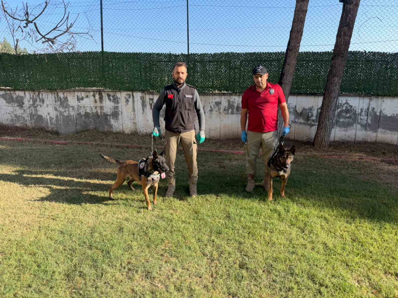 Hector ve Mailo, Batman’da uyuşturucu tacirlerinin korkulu rüyası oldu