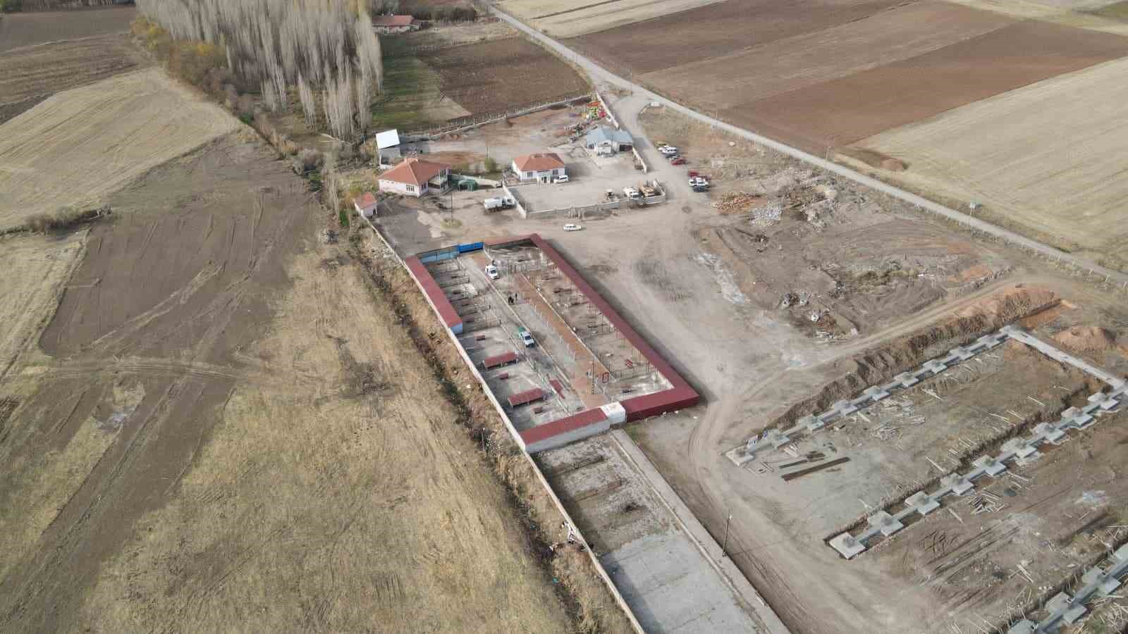 Başkan Metin’den sokak hayvanları için örnek hizmet