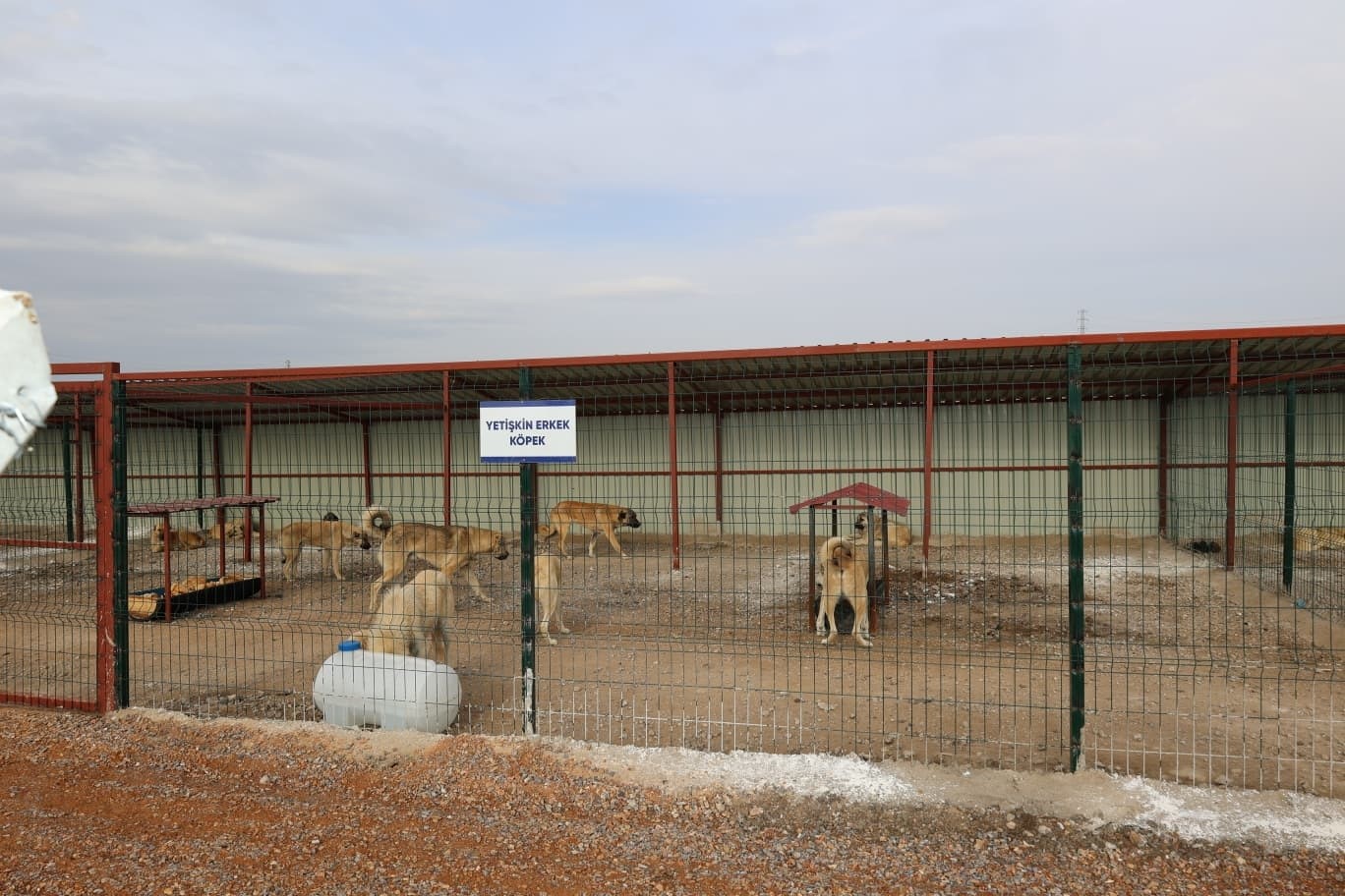 Başkan Metin&rsquo;den sokak hayvanları i&ccedil;in &ouml;rnek hizmet
