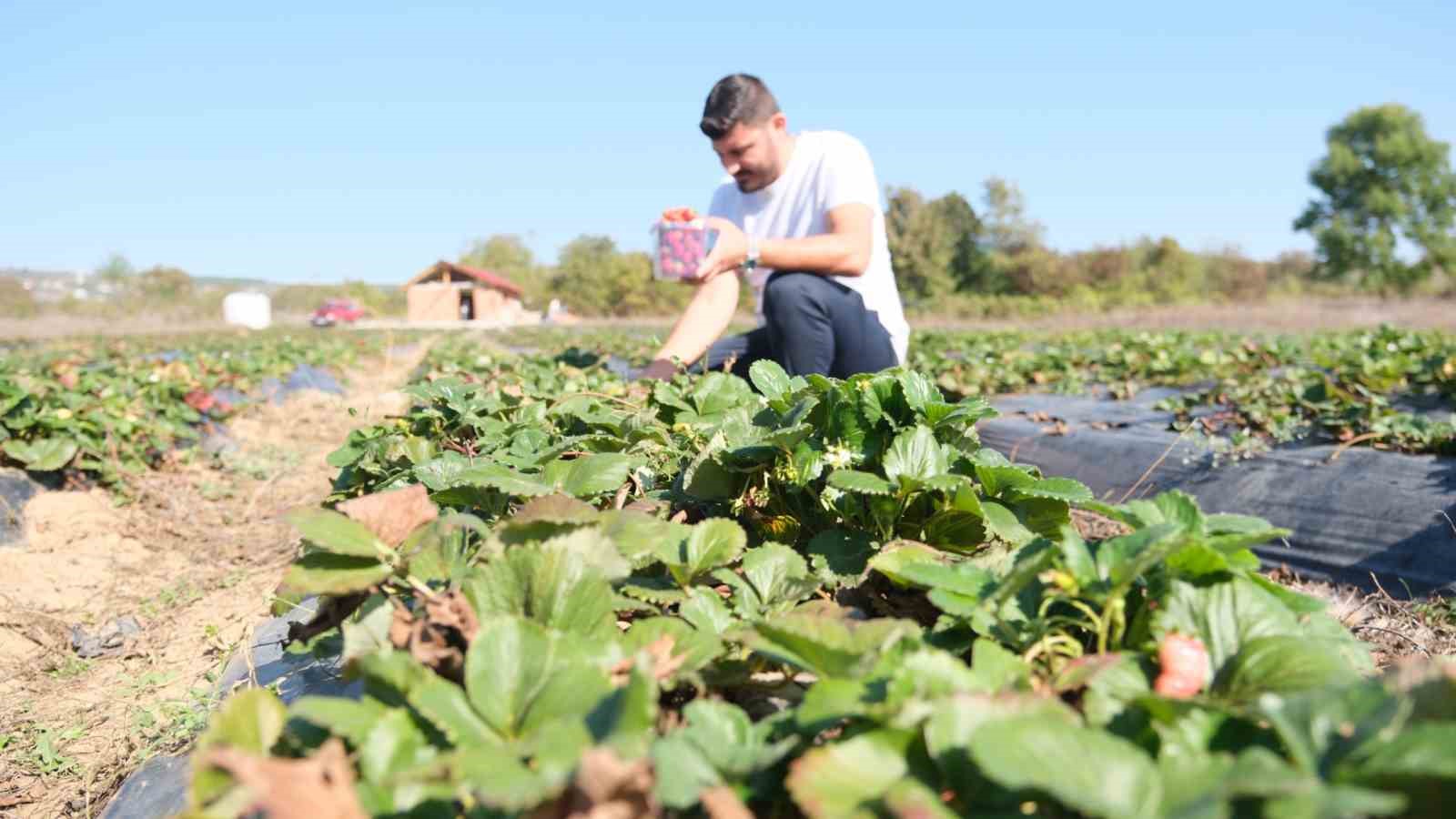 Başkan Doğan: "Tarımsal üretimde sürdürülebilirliği hedefliyoruz"
