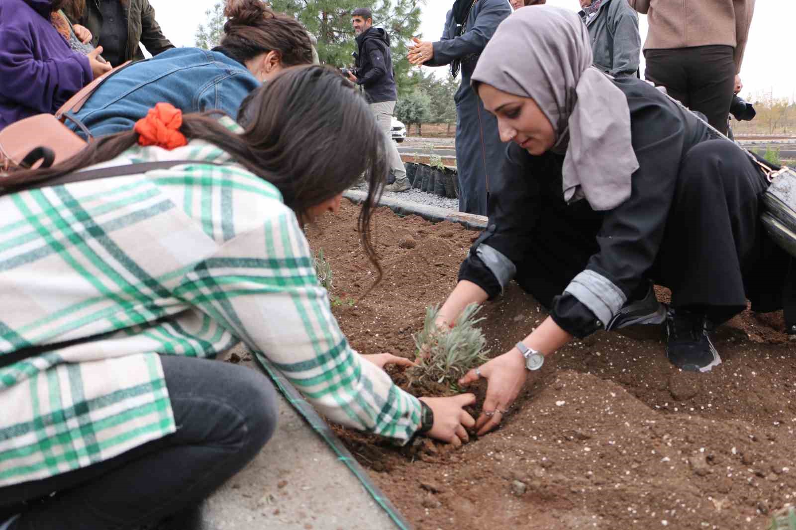 Diyarbakır&rsquo;da 14 bin metrekarelik alana tıbbi ve aromatik bitki bah&ccedil;esi kurulacak
