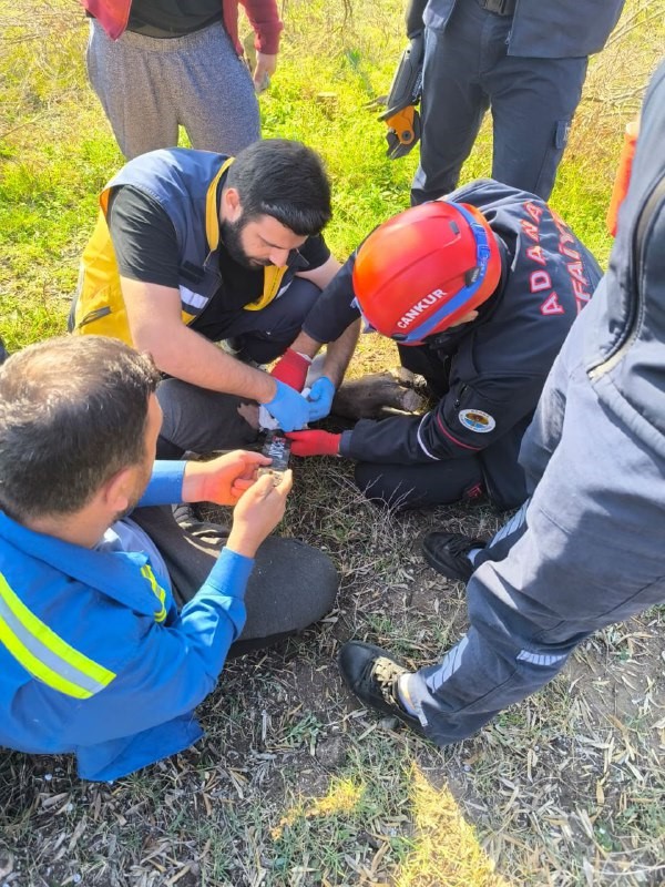 Ayağı motorlu testereye sıkışan şahsı itfaiye ekipleri kurtardı