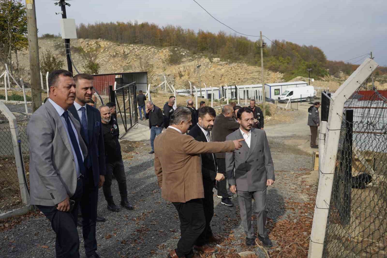 Samsun’da 9 köpeğin telef olması: Başkan Kurnaz’dan tepki