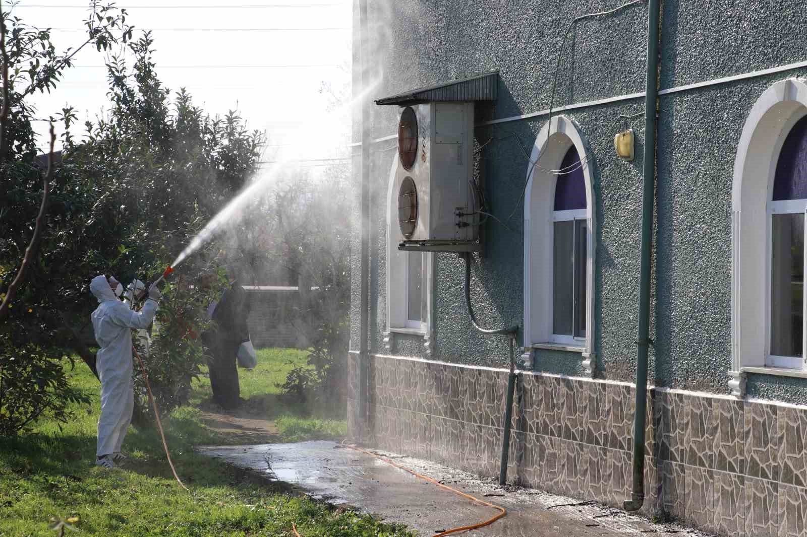 Kahverengi kokarca ile mücadele: 850 hane, 23 kamu alanı ve 623 ahır ilaçlandı