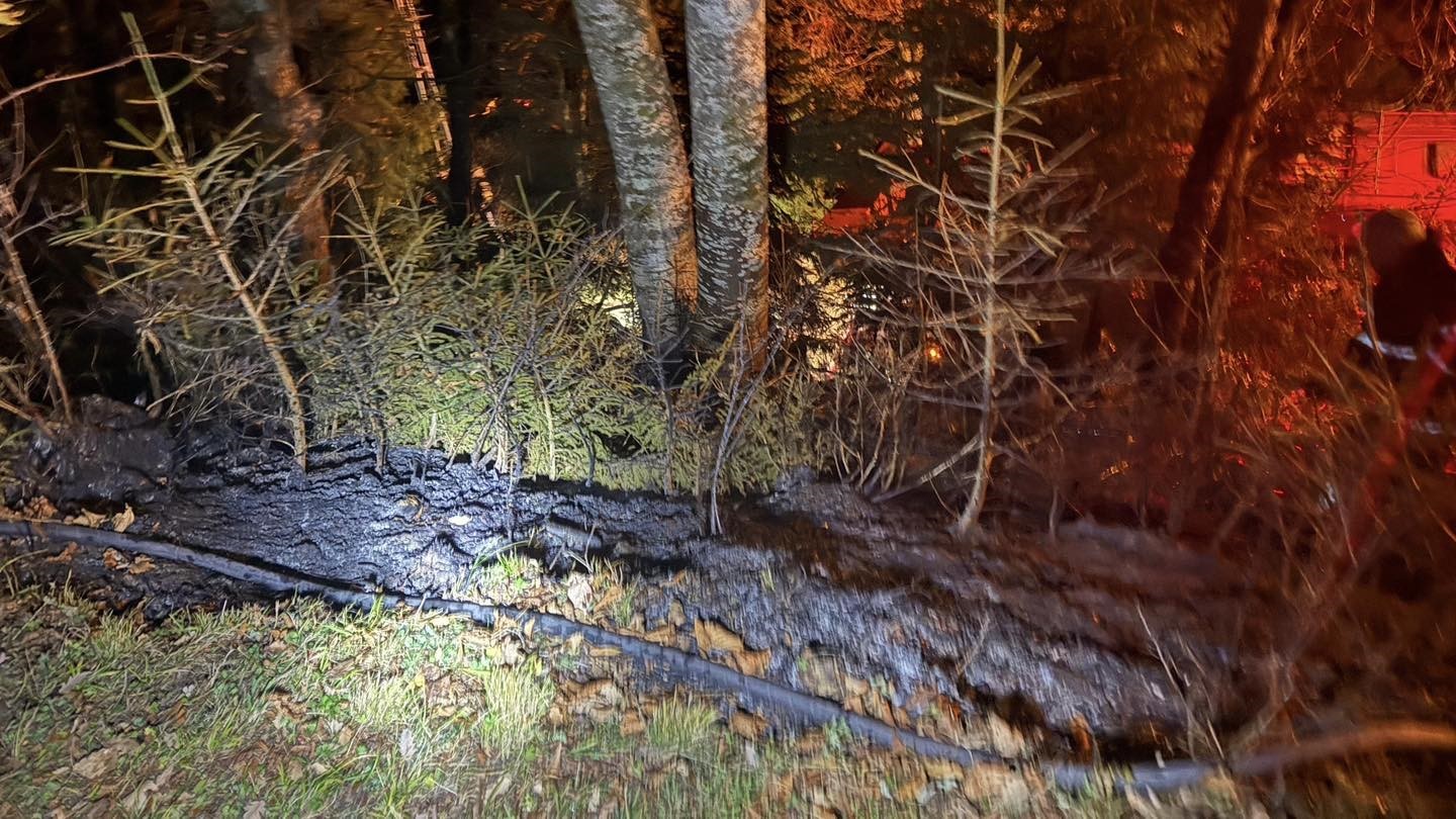 Artvin’de zirai alanda çıkan yangın kısa sürede söndürüldü