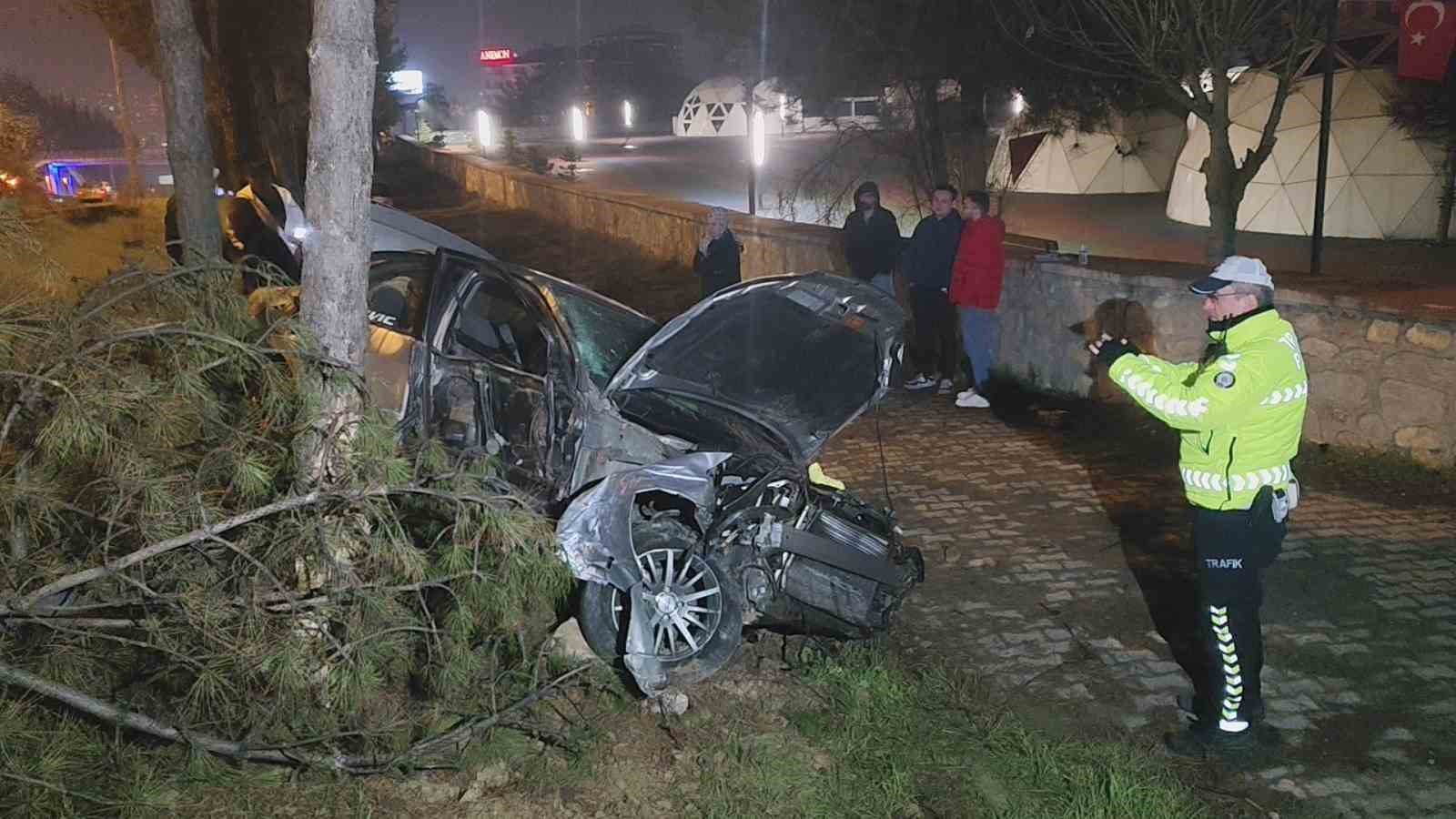 Kontrolden çıkan otomobil, direk ve ağaçlara çarptı: 1 yaralı