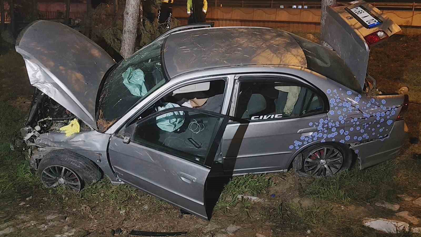 Kontrolden çıkan otomobil, direk ve ağaçlara çarptı: 1 yaralı
