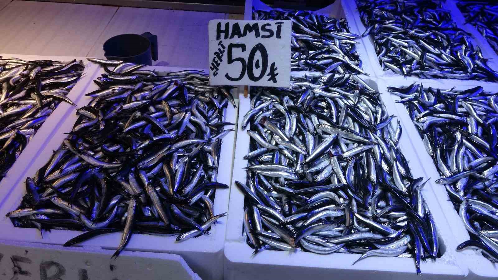 Karadeniz’den bu sezon adeta hamsi fışkırıyor
