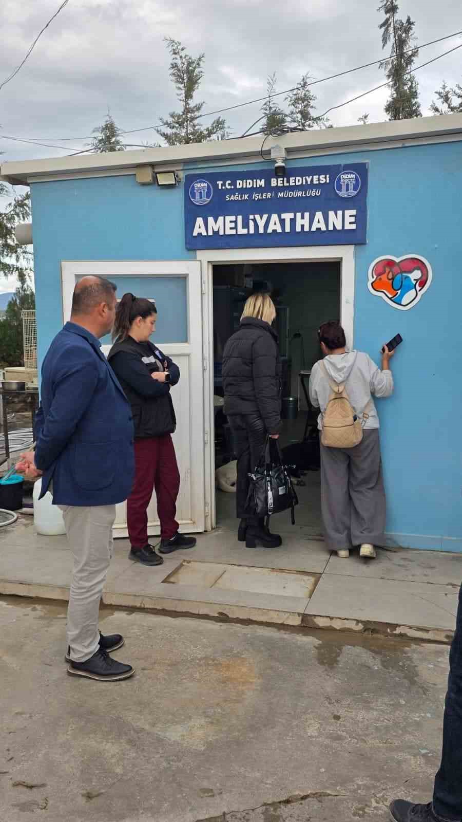 Didim Belediyesi’nden hayvan haklarına güçlü destek
