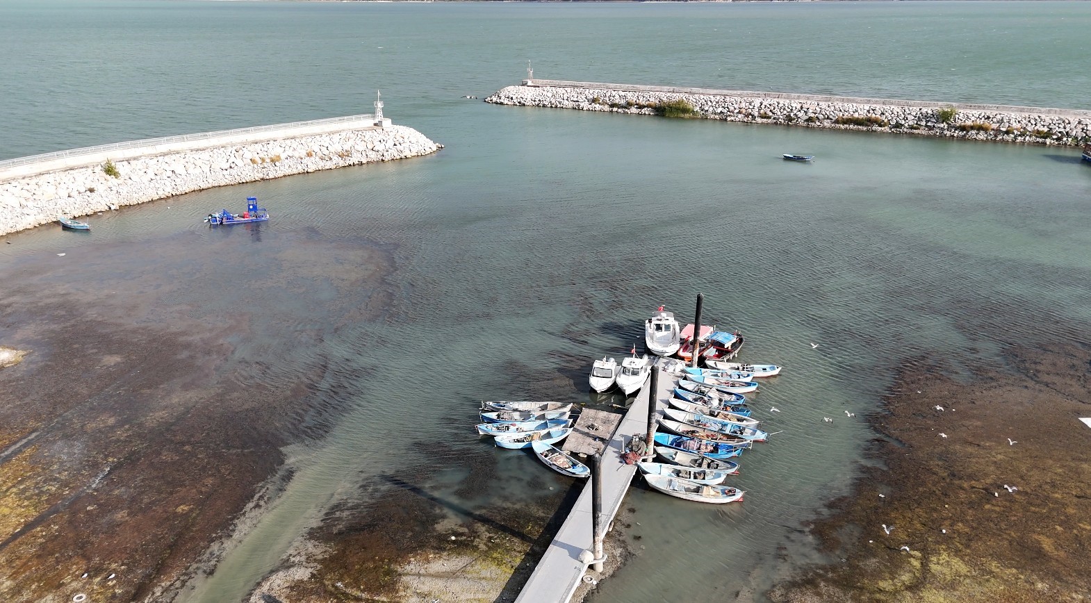 Prof. Dr.  Şahin uyardı: "Eğirdir Gölü’nün hızla çekilmesi ilçeyi felakete sürüklüyor"