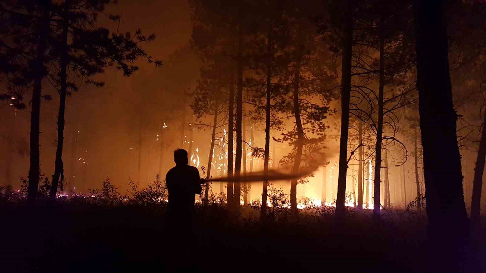 Kastamonu’da küle dönen bin 256 hektarlık orman yeniden ağaçlandırılıyor
