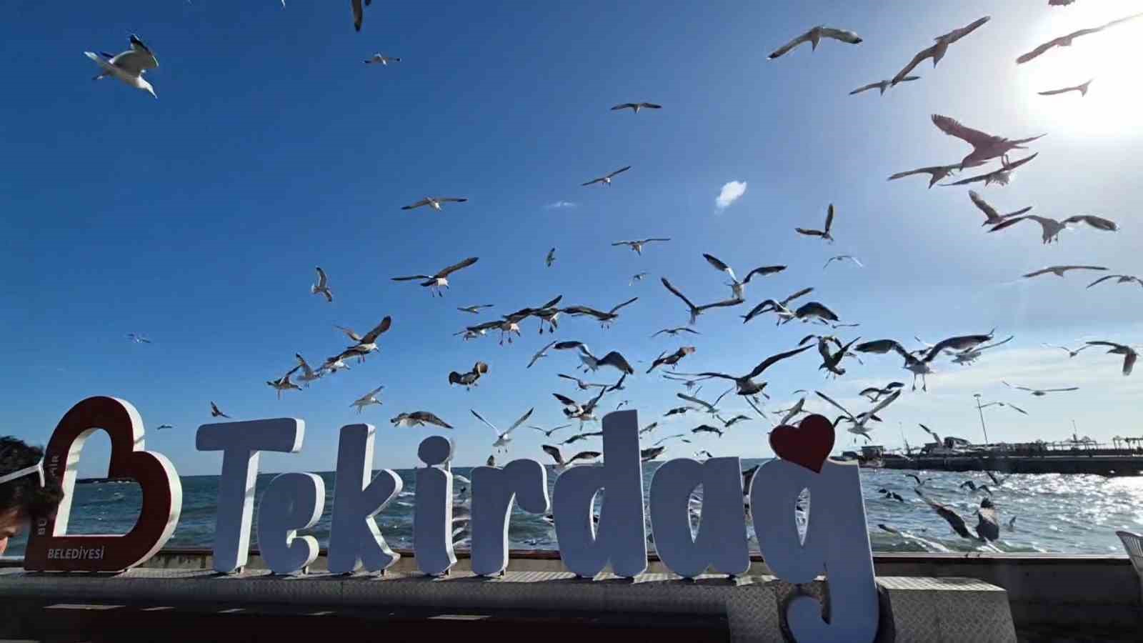 Lodos tekneleri hapsetti