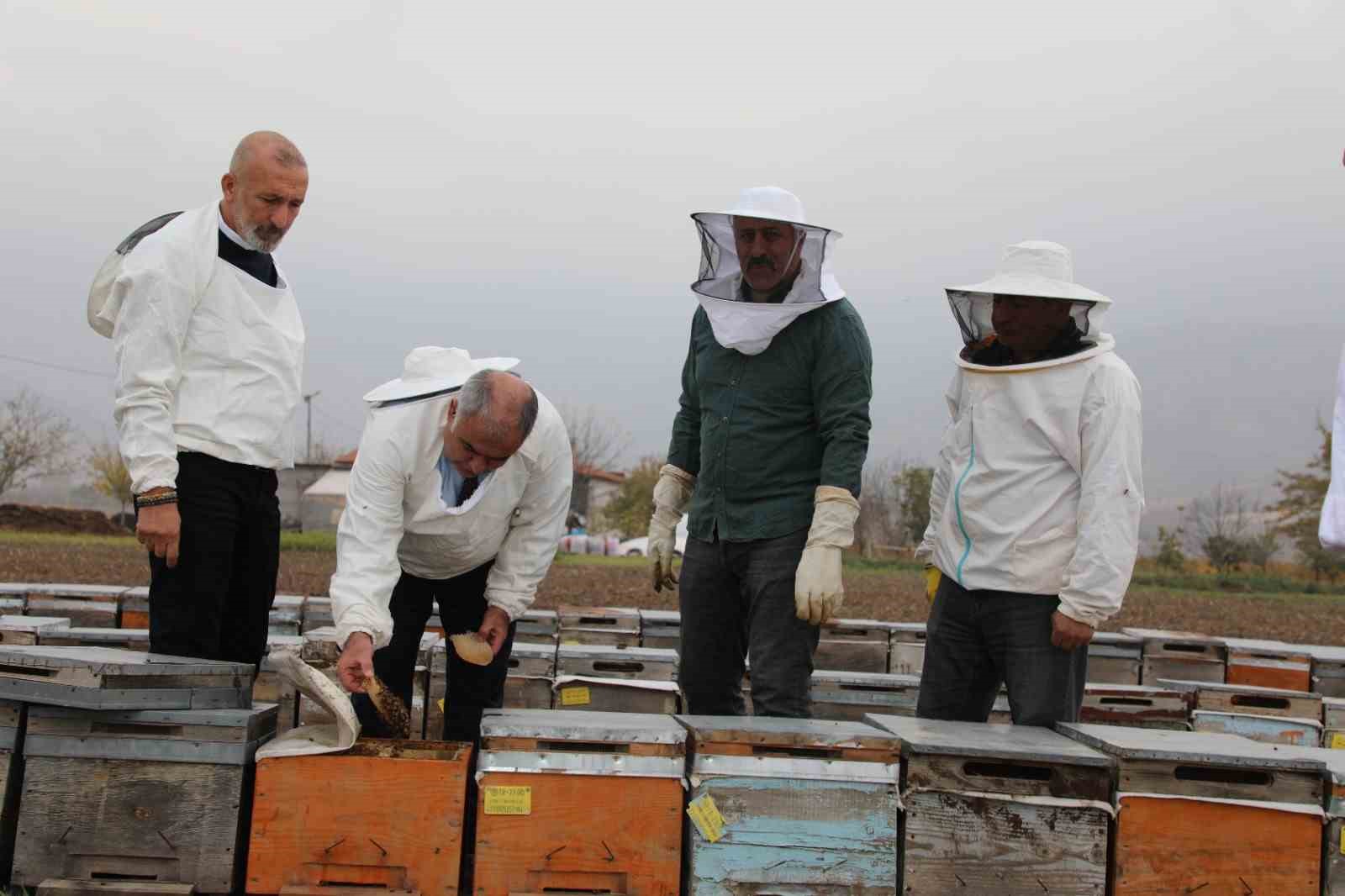 Elazığ arı kovanları incelendi
