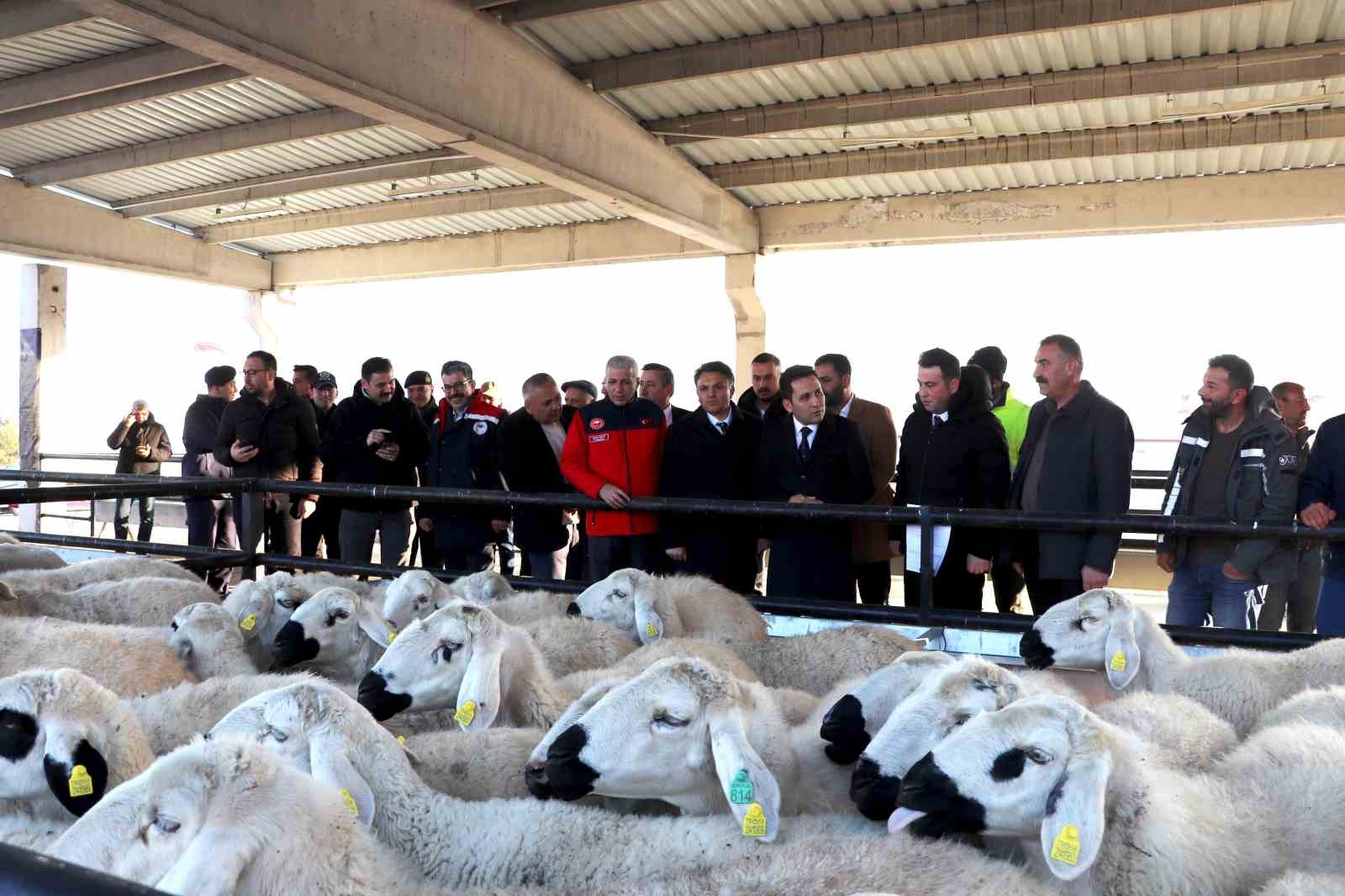 Hane başı y&uuml;zde 70&rsquo;i hibe olarak 50 koyun 2 ko&ccedil; dağıtıldı
