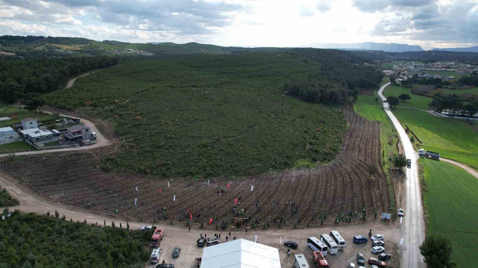 ALJ Türkiye, İzmir’de 312 bin fidanı toprakla buluşturdu
