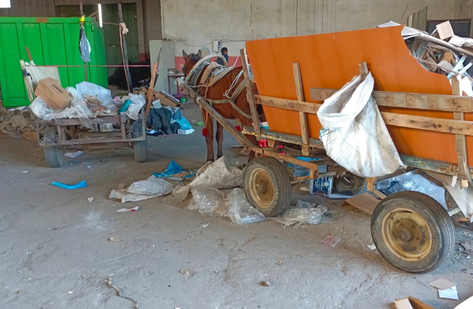 Manisa’da at arabası operasyonu: İki at arabası trafikten men edildi