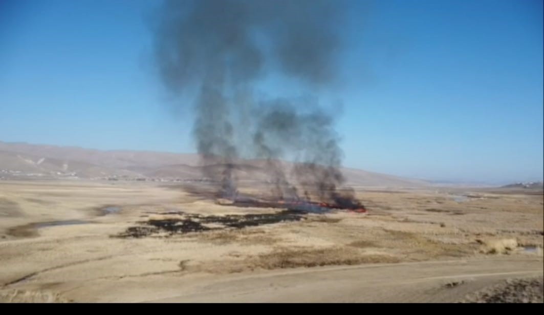 Van’da sazlık yangını