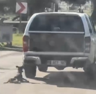 Araçla metrelerce sürüklenen köpek telef oldu: 2 gözaltı