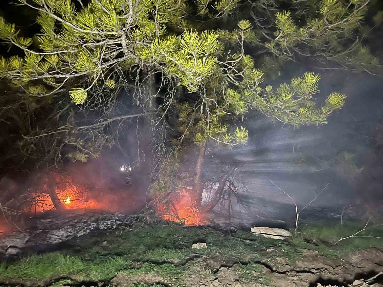 Bolu’da ormanlık alanda yangın