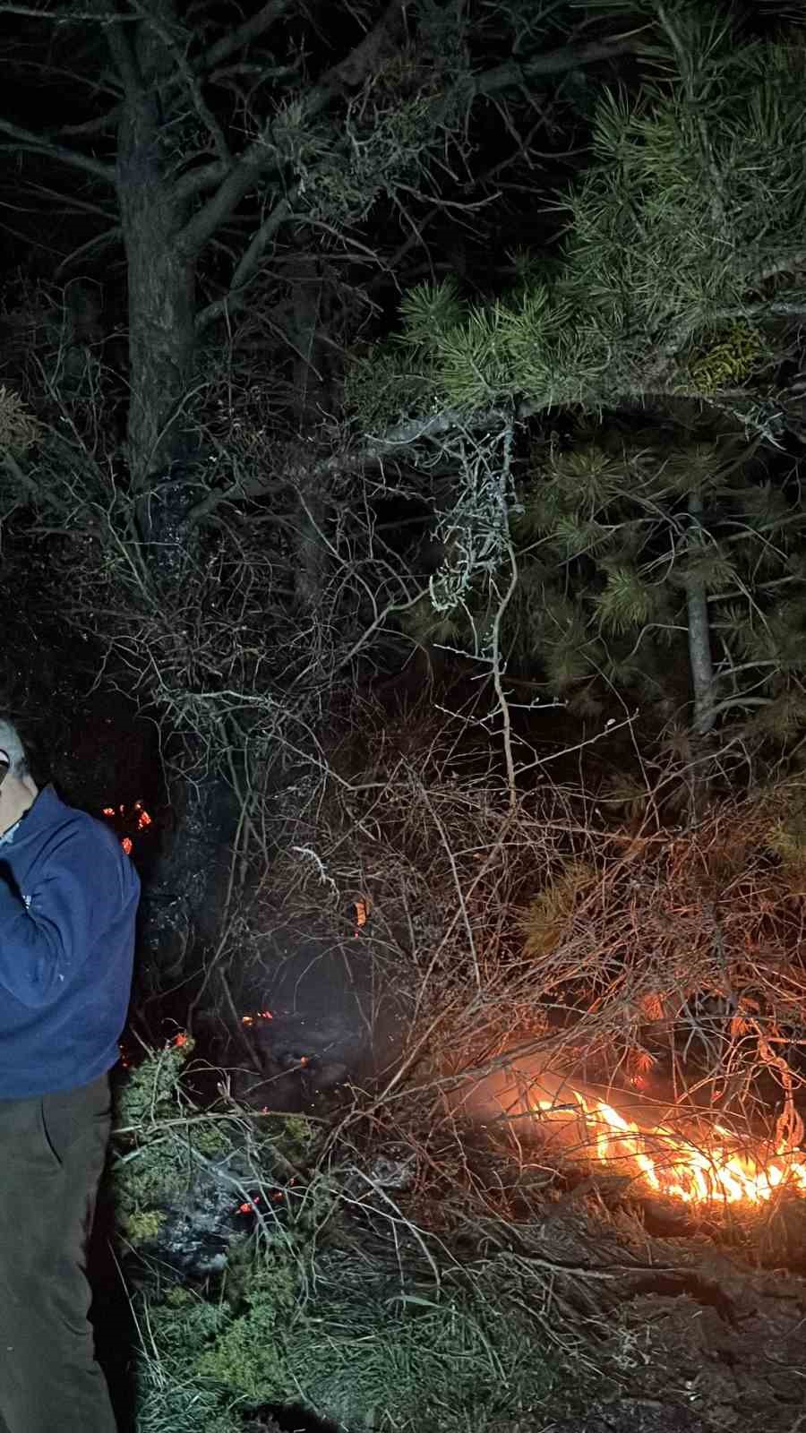 Bolu’da ormanlık alanda yangın çıktı