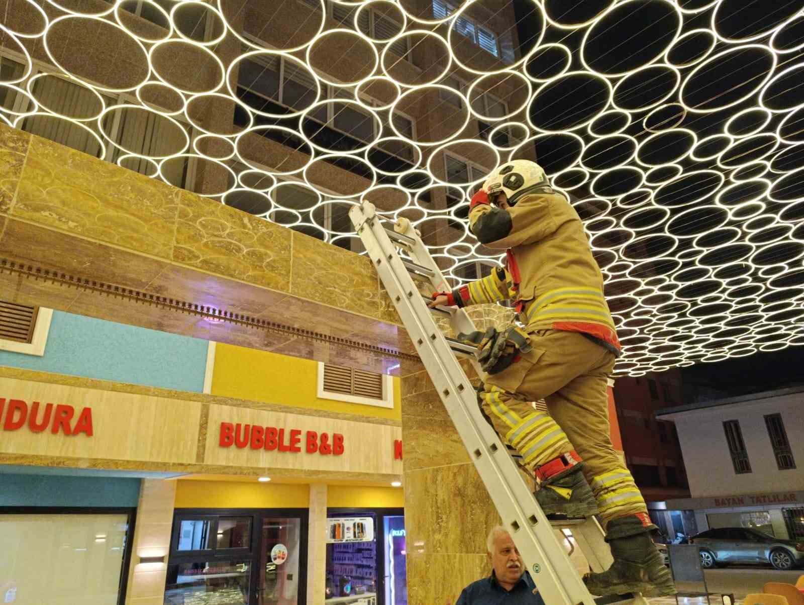 Hatay’da duvar boşluğuna sıkışan kedi itfaiye ekiplerince kurtarıldı