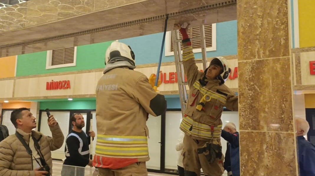 Hatay’da duvar boşluğuna sıkışan kedi itfaiye ekiplerince kurtarıldı