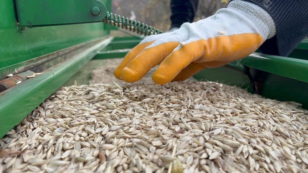 TMO’nun raporuna "gübre fiyatlarının yüksekliği" de girdi
