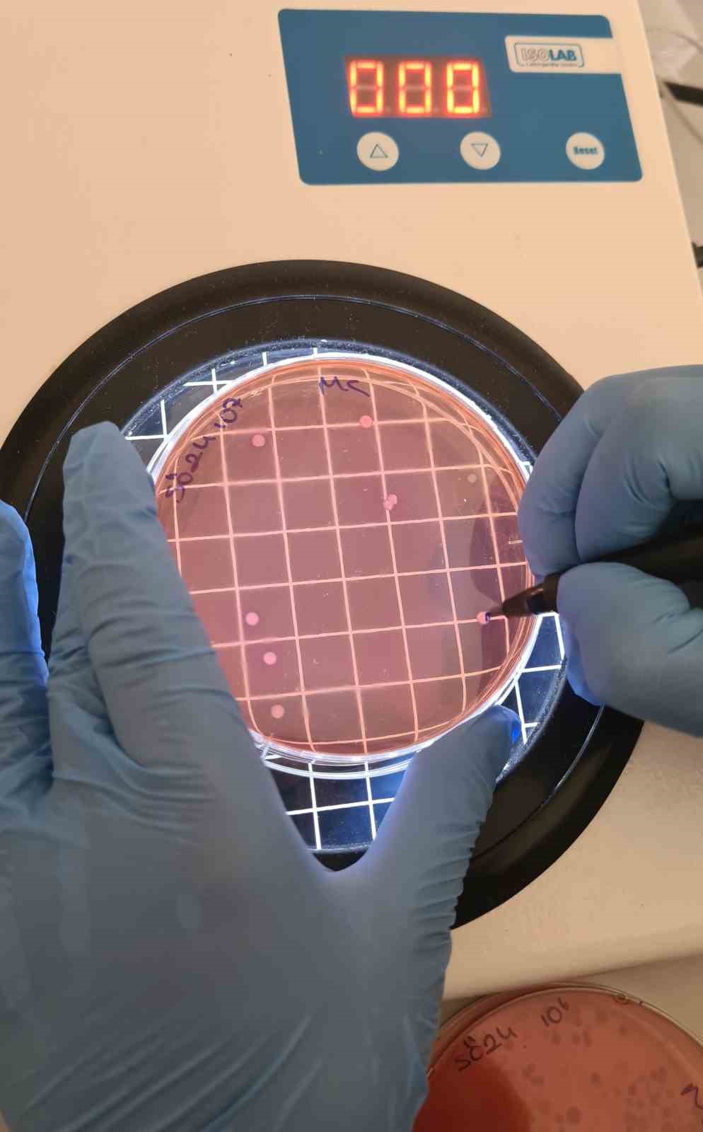 Çiğ süt, gıdayla bulaşan idrar yolu enfeksiyonlarına kapı açıyor
