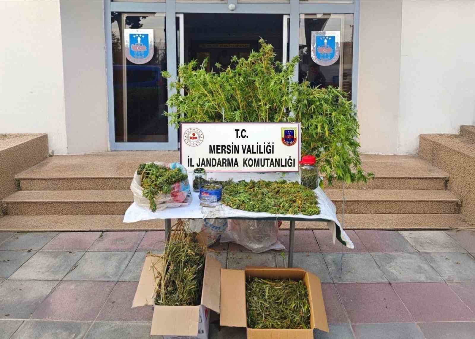 Mersin’de kenevir ekip uyuşturucu üreten şüpheli tutuklandı