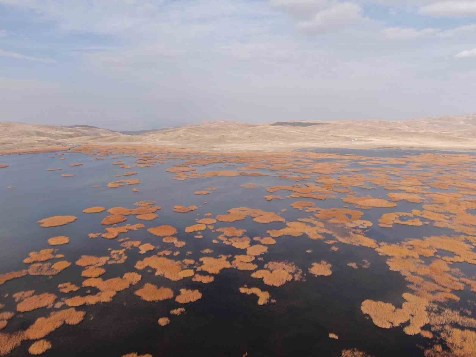 Van’da tarih ve doğa buluşması: Sonbaharın son haftasında kartpostallık manzaralar oluştu
