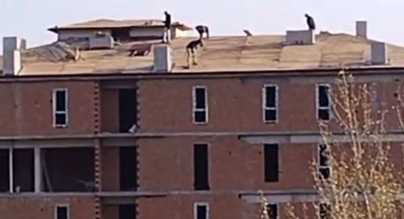 İnşaat çatısında tehlikeli çalışma kameraya yansıdı
