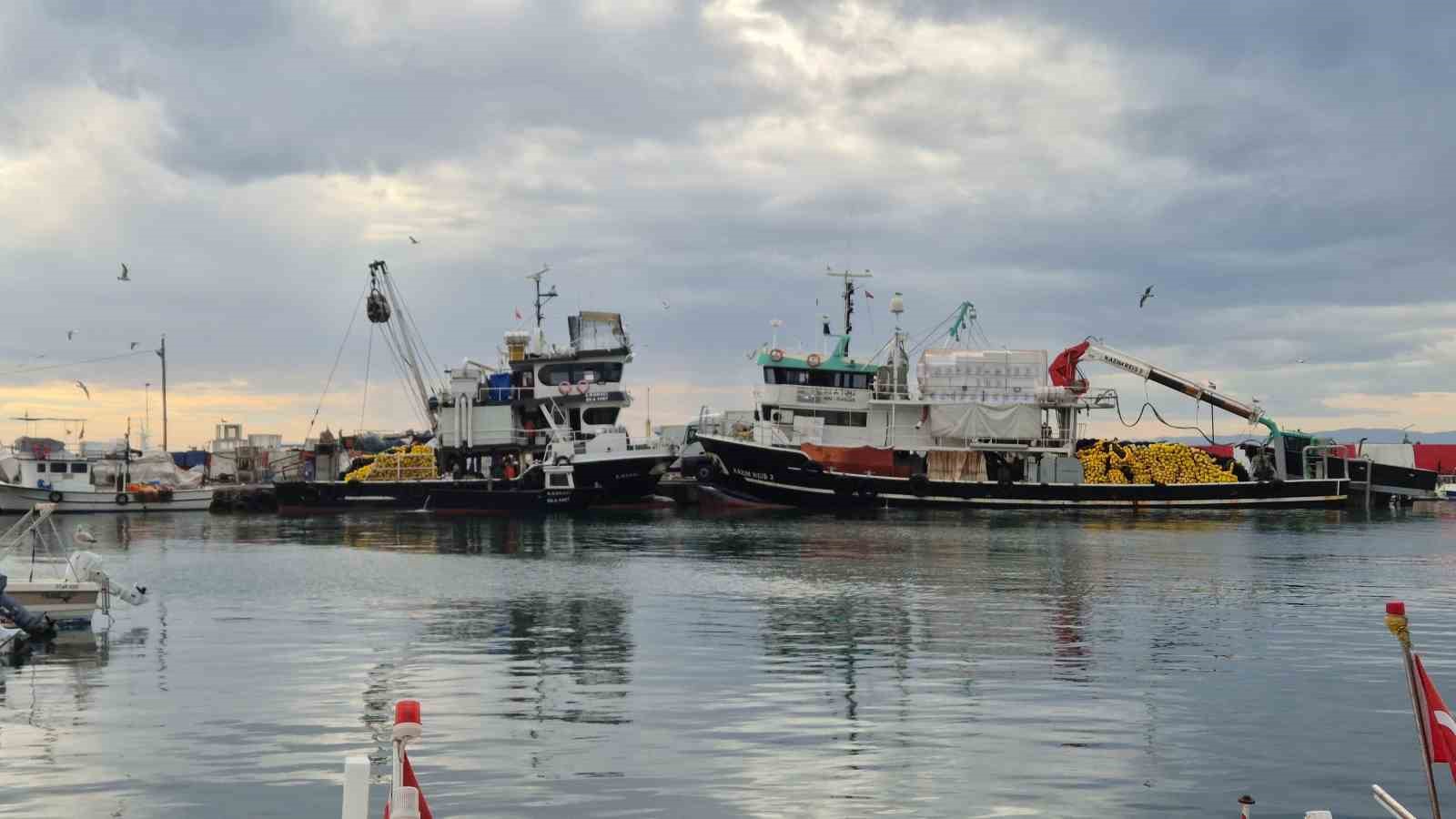 Tayfalar mutlu: Yüzlerce kasa balık yakalandı
