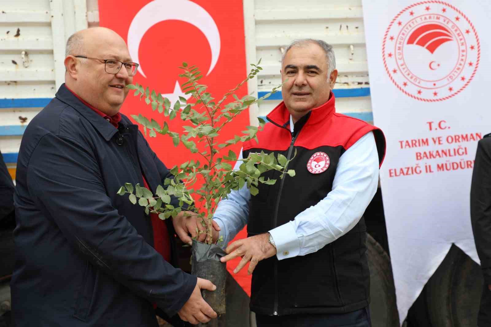 Elazığ&rsquo;da sumak &uuml;retimi artıyor
