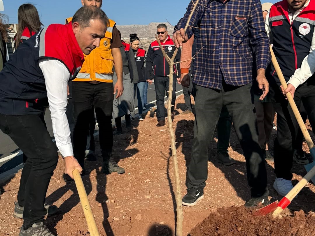 Şırnak-Cizre karayolu refüjünde 365 fidanlık ağaç dikimi yapıldı