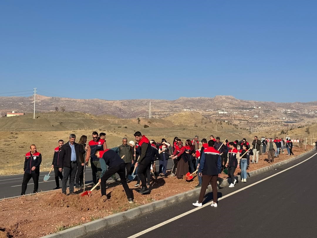 Şırnak-Cizre karayolu refüjünde 365 fidanlık ağaç dikimi yapıldı
