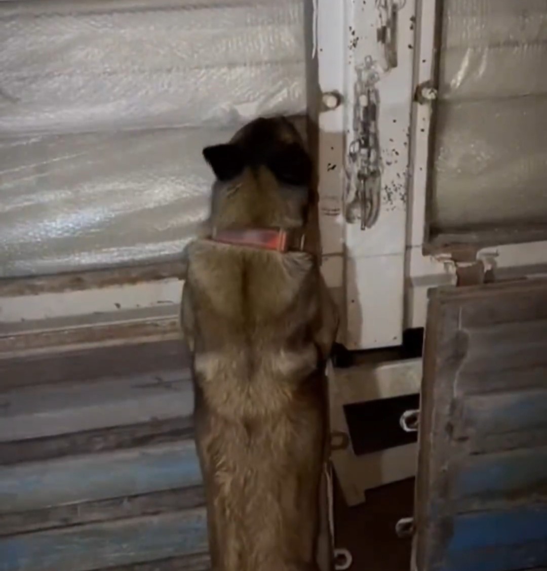 Hakkari’de 87 kilo 500 gram uyuşturucu ele geçirildi