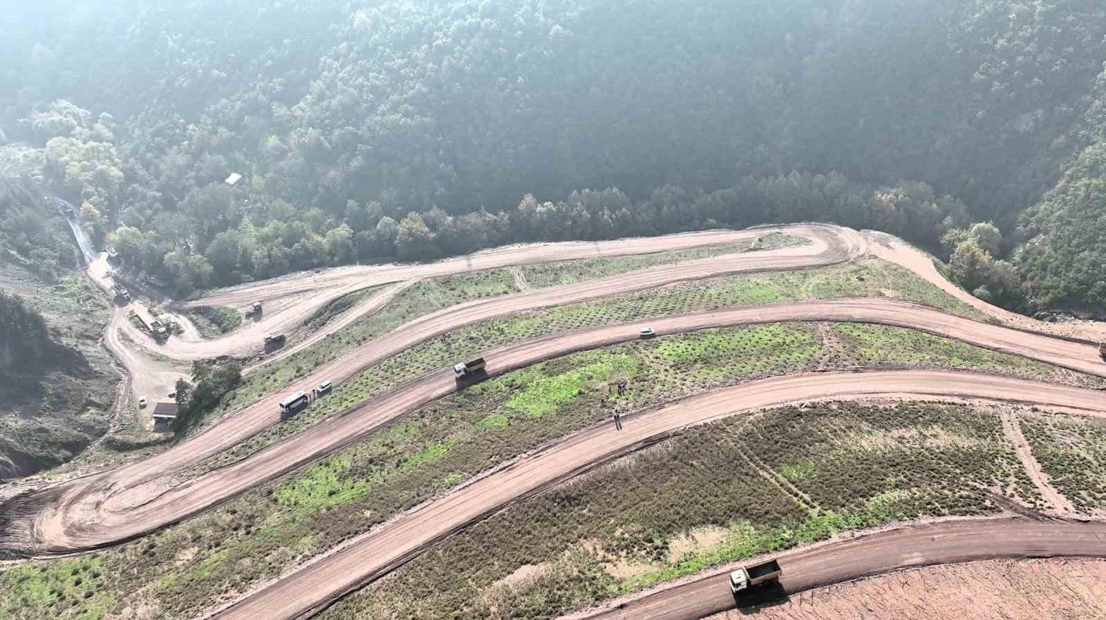 Körfez’e 3 bin 300 Toros sediri dikilecek