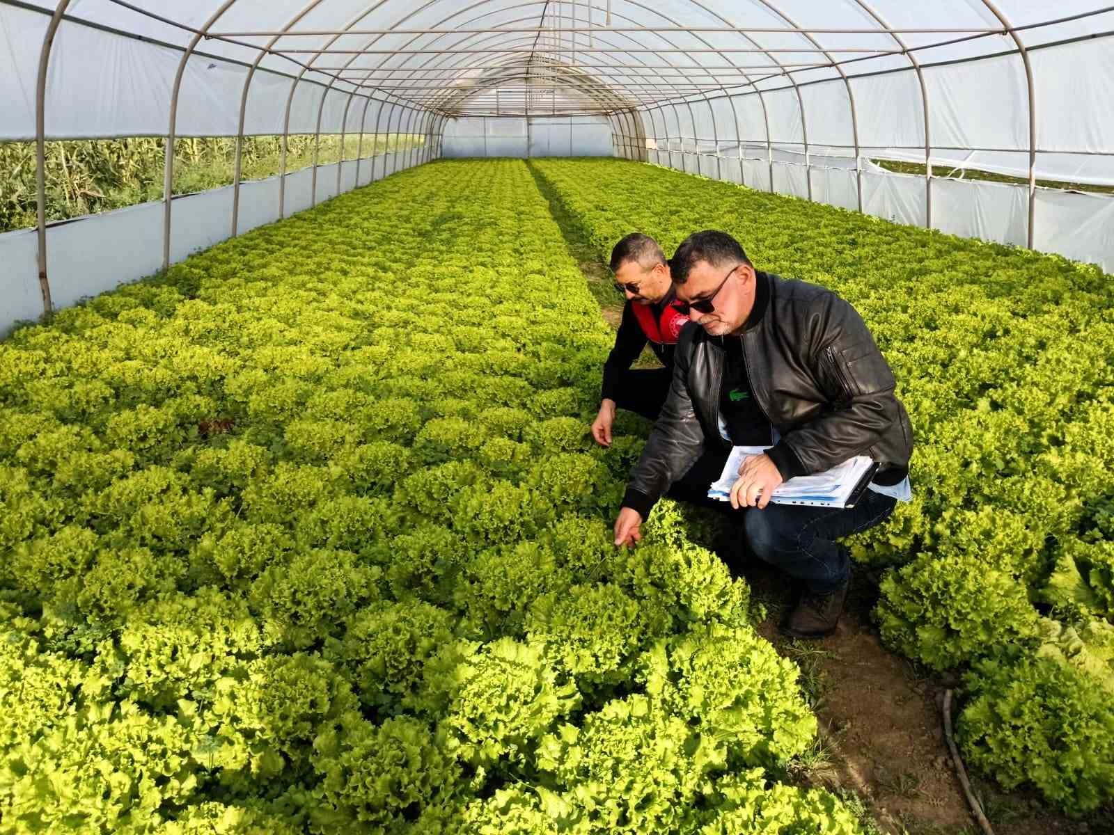 Kırklareli’nde sera denetimleri