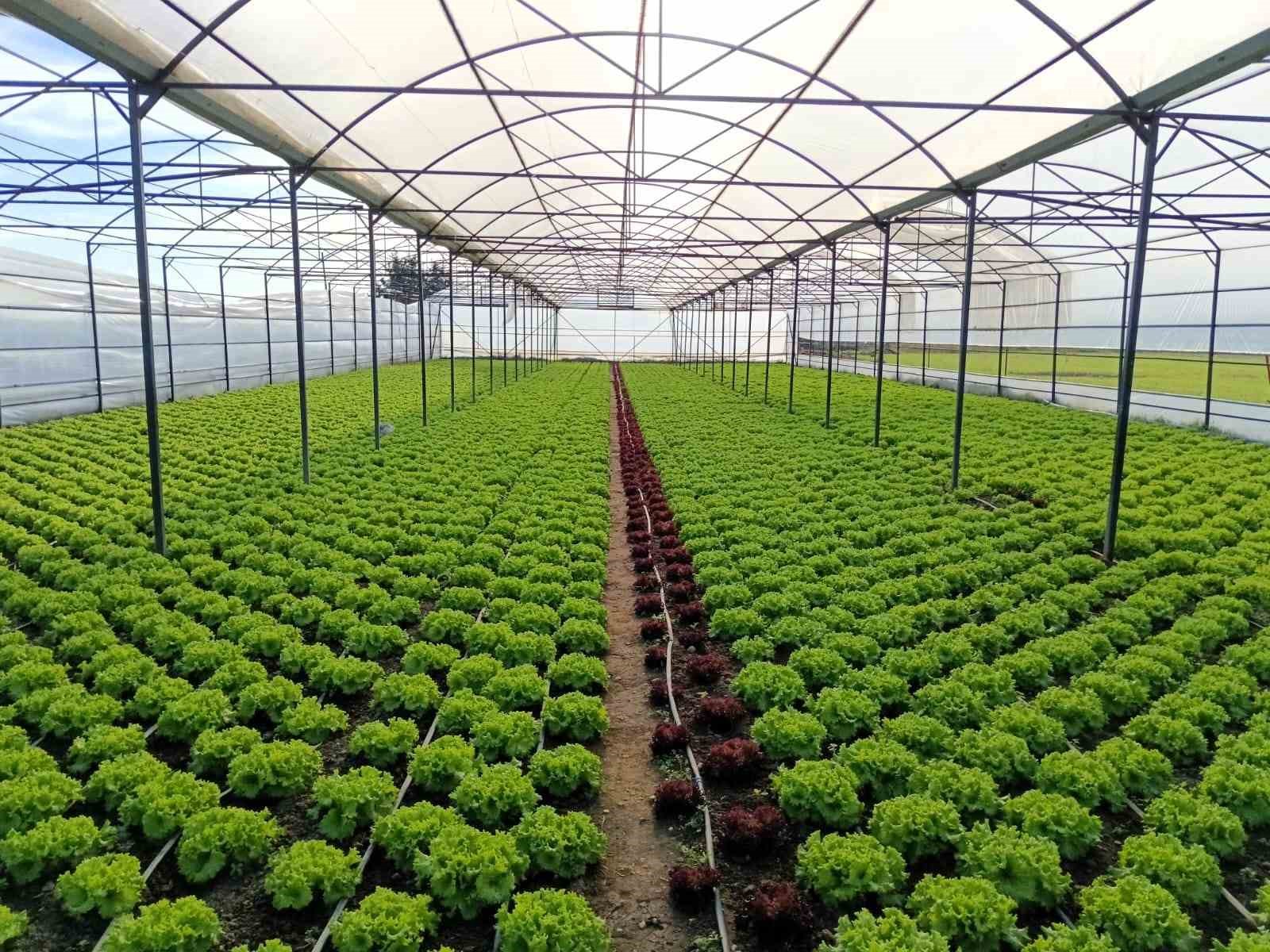 Kırklareli’nde sera denetimleri