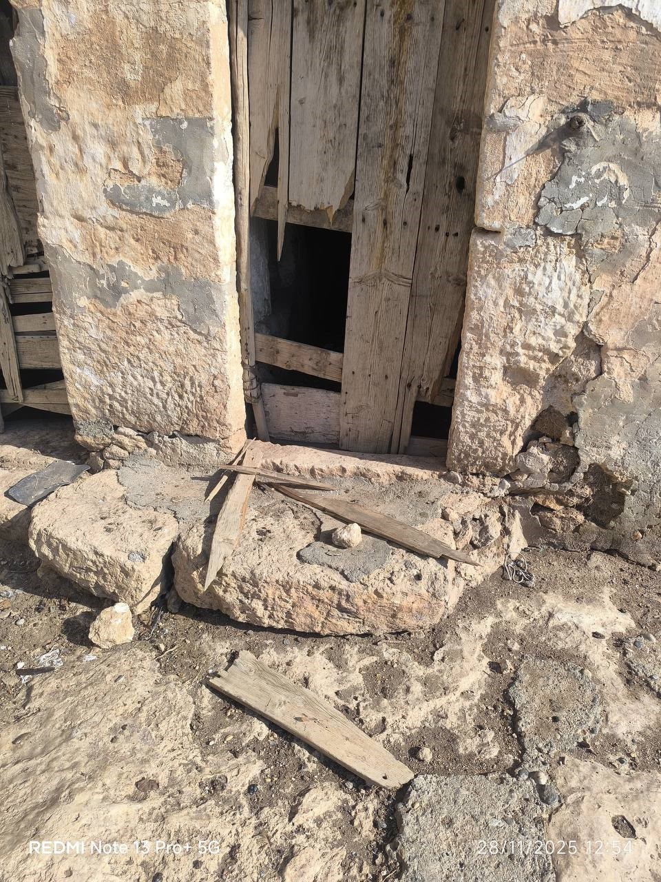 Şanlıurfa’da sırtlanlar tavuk kümesine girdi: Horoz ve tavukları çaldı