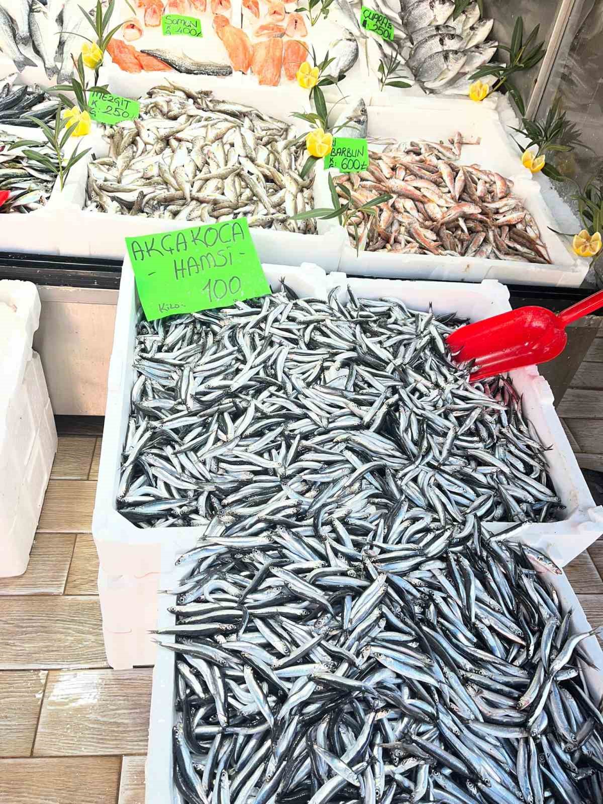 Düzce’de balık fiyatları düşerken, vatandaşlar balığa yöneliyor
