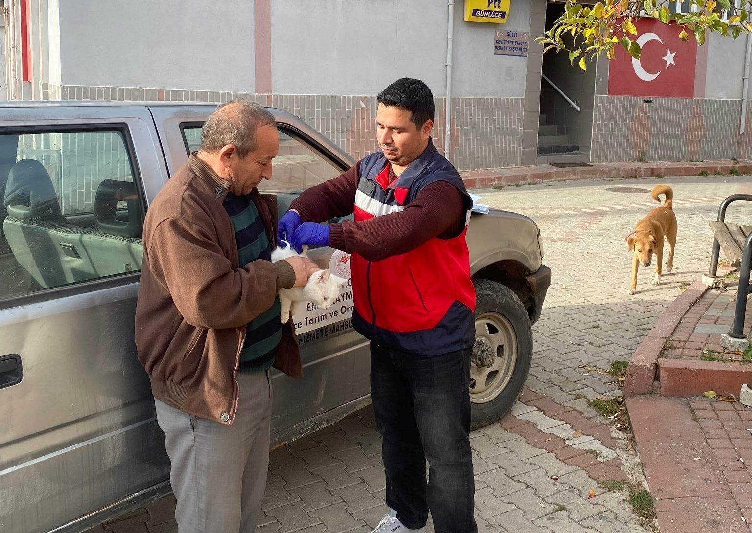 Emet’te sahipli kedi ve köpeklere mikroçip ve kuduz aşısı uygulaması
