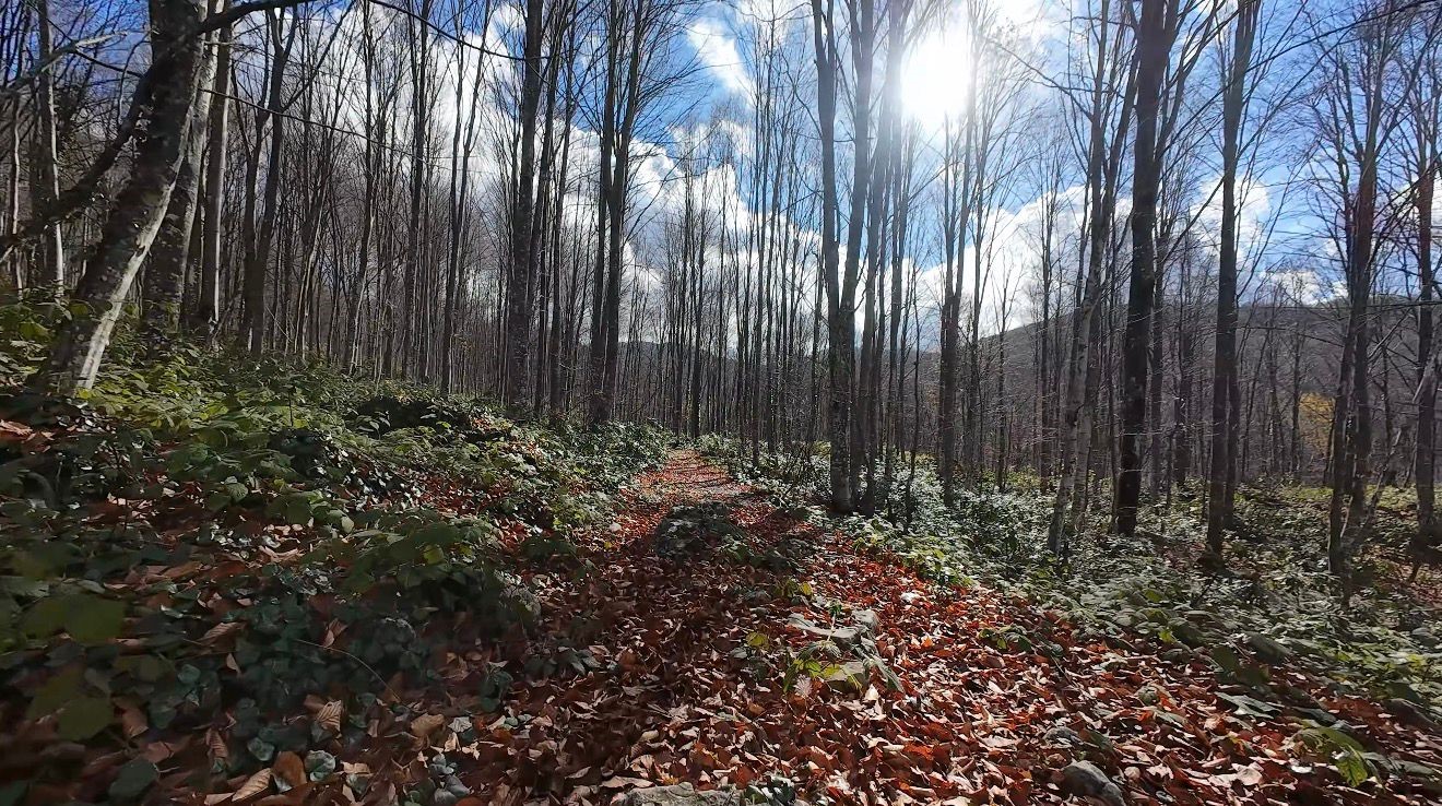İstanbul&rsquo;un yanı başında sonbahar rotası
