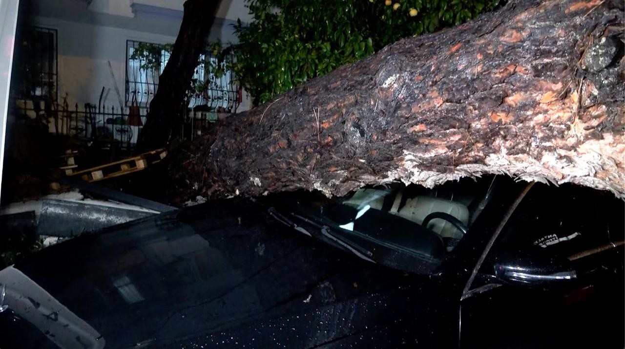 Antalya’da yağmur ve şiddetli rüzgar 10 metrelik ağacı devirdi: İki araç ve bina zarar gördü