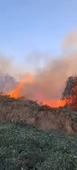 Artvin Hopa’da ziraat alanında çıkan yangın ormana sıçradı